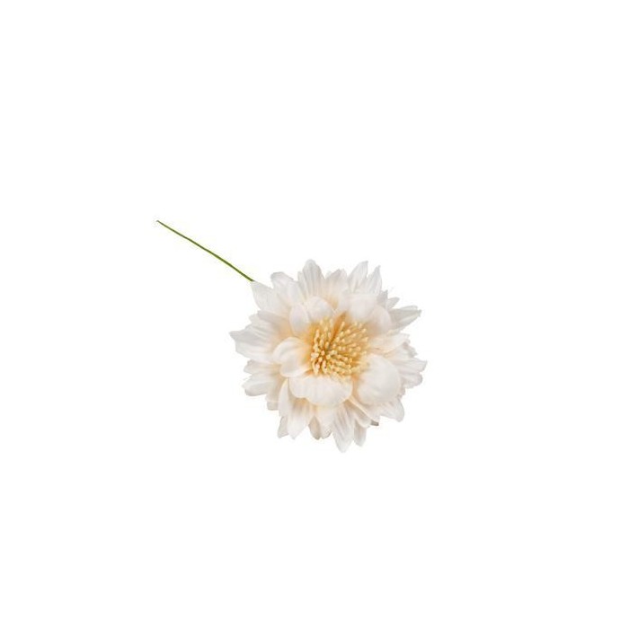 FIORE C PISTILLI CM5 CIPRIA